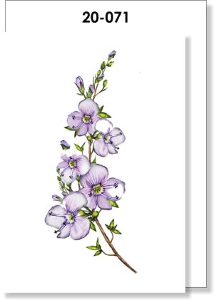 Lilac Wild Flower