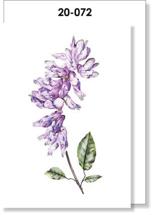 Purple Wild Flower
