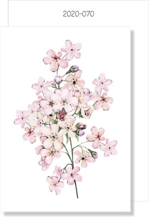 Pink Blossom MINI CARD