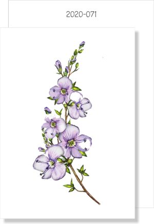 Lilac Wild Floral MINI CARD