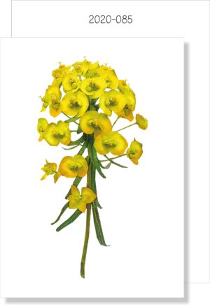 Yellow Wild Floral MINI CARD