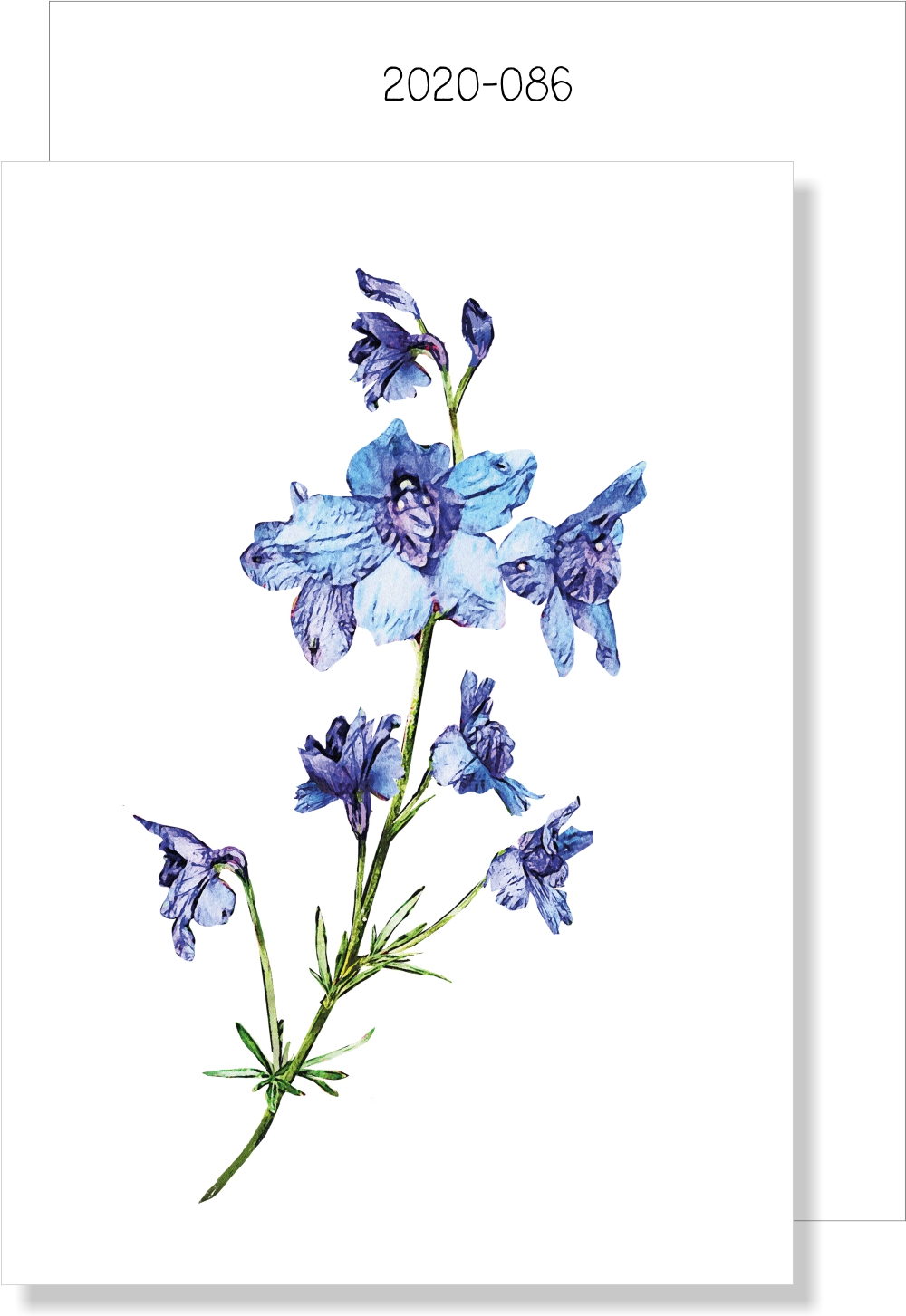 Blue Wild Floral MINI CARD