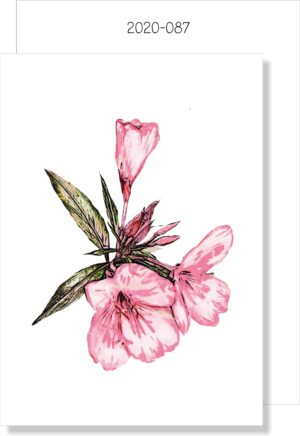 Pink Azalea MINI CARD