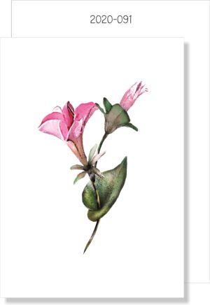 Pink Flower Buds MINI CARD