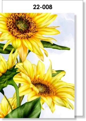 Sunflower Blank