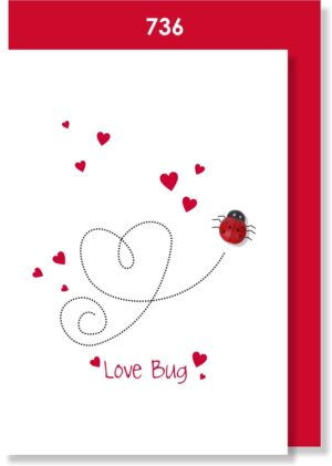 LOVE BUG